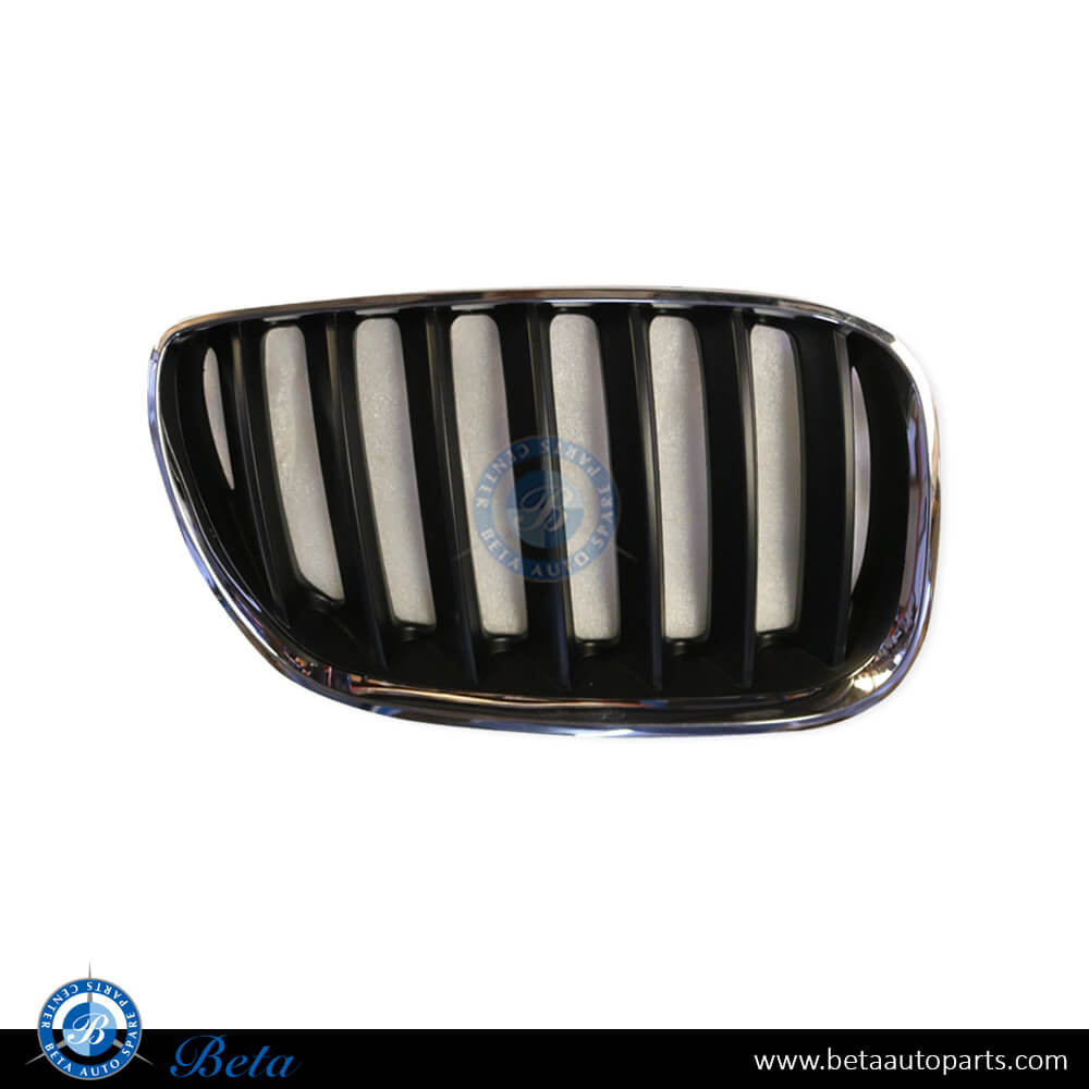 Right Side Radiator Grille - Black and Chrome for BMW X5 E53 LCI 2004-2006 models, Part Number 51137113734 Right Side Radiator Grille - Black and Chrome for BMW X5 E53 LCI 2004-2006 models, Part Number 51137113734